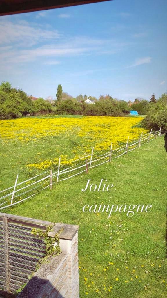 Carnetin Le Parc, Gite Et B&B エクステリア 写真
